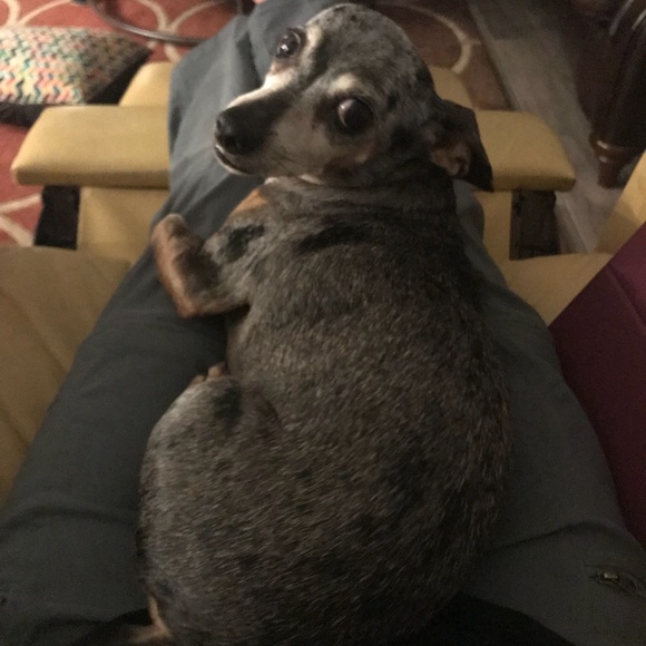 Meet your Posher, Courtney - Picture 3 of 7